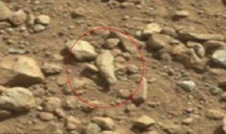 Fosil Mirip Jari Manusia Ditemukan di Mars