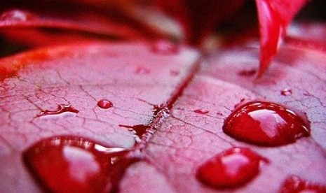 Fikih Muslimah: Cara Mengenali Darah Istihadah (1)