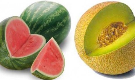 Melon, Semangka, Mangga