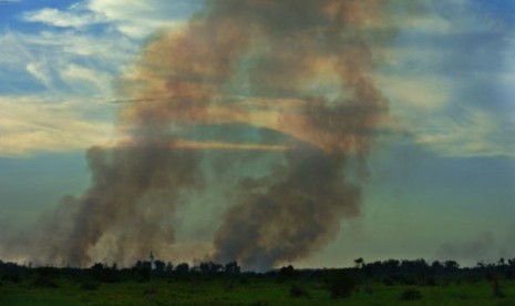 Kabut asap di Riau
