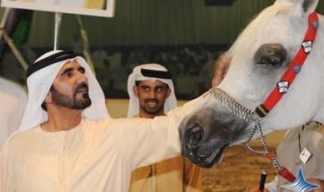Pesona Kuda Arab (1)