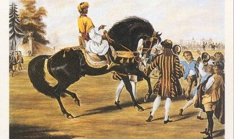 Pesona Kuda Arab (2)