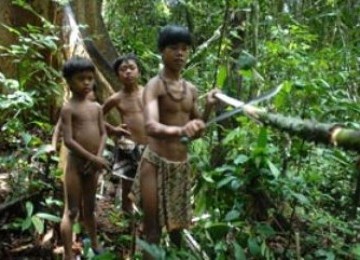 Orang Rimba/Suku Anak Dalam