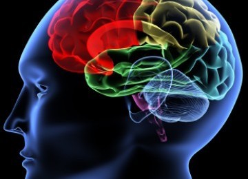 Puasa Mencerdaskan Otak Lho (3-habis)