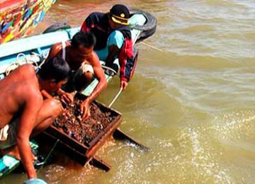 Penyelam pemburu harta karun