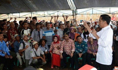 Presiden Jokowi berdialog bersama petani Kabupaten Dompu, Sabtu (11/4).