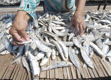 Pekerja menjemur ikan asin yang akan dijual ke konsumen. (Republika/Aditya Pradana Putra)