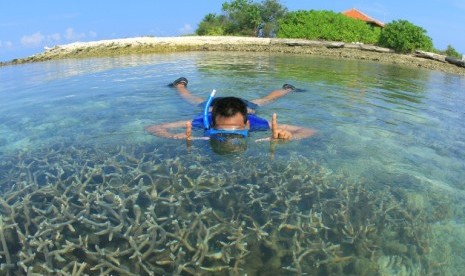 Seorang wisatawan tengah menikmati keindahan kehidupan bawah laut. Indonesia memang dikenal memiliki potensi wisata bahari yang tinggi (ilustrasi)