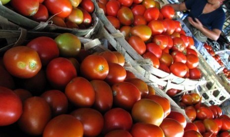 Rajin Konsumsi Tomat Bisa Cegah Stroke