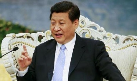 Wapres Cina Raib Misterius, Netter Heboh