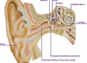 Alquran dan Sains: Indera Pendengaran dan Efeknya Terhadap Tidur
