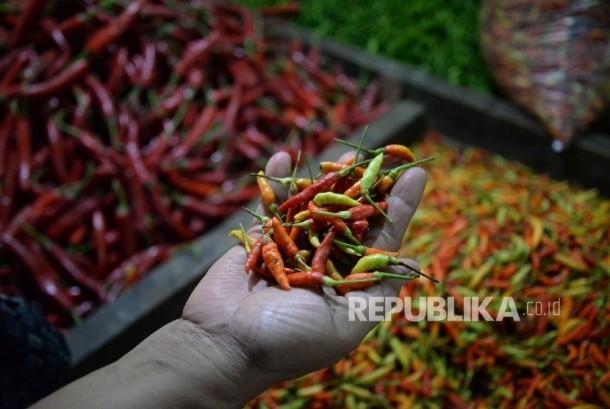 Strategi perdagangan opsi di hindi