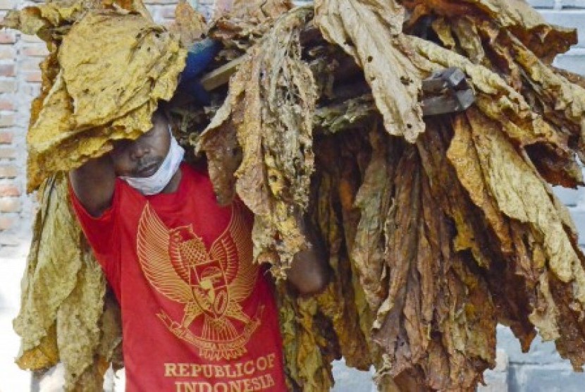 Seorang buruh mengangkat daun tembakau kering untuk disortir di Desa Puyung, Kecamatan Jonggat, Praya, Lombok Tengah,NTB, Kamis (7/9). 