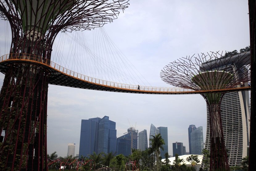 Seorang pengunjung berjalan di jembatan yang menghubungkan pohon-pohon raksasa 