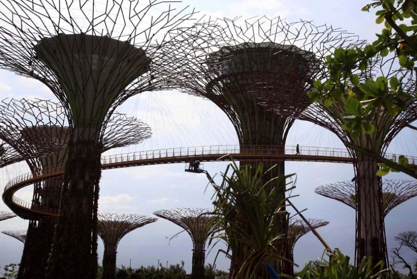 Seorang pengunjung berjalan di jembatan yang menghubungkan pohon-pohon raksasa 