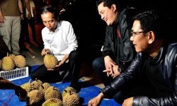 Jokowi Borong Durian dari Penjual Pinggir Jalan di Dumai