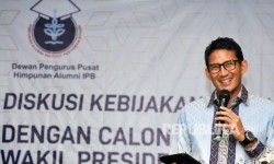 Ini yang Diharapkan Sandi pada Debat Capres-Cawapres