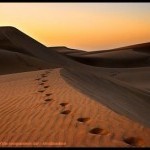 Ensiklopedi Hukum Islam: Ittiba' (Mengikuti)