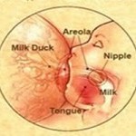 Asi Belum Keluar dan Puting tidak Menonjol