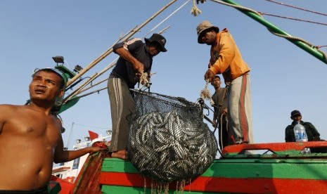 Nelayan Natuna Dilatih Gunakan Aplikasi Pendeteksi Ikan. Aktivitas nelayan (ilustrasi).