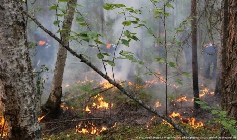 picture-alliance/AP Photo/Ministry of Emergency Situations of Krasnoyarsk Region