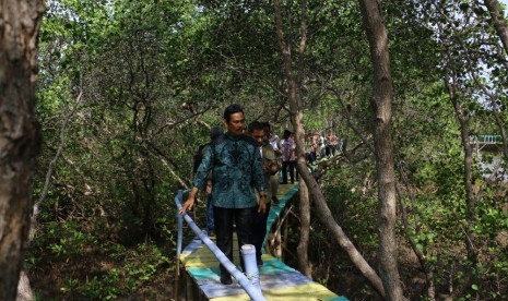 Wisata Mangrove Bawean Dorong Peningkatan Ekonomi Warga