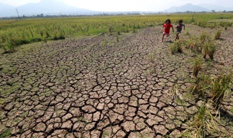  Kekeringan dan krisis air bersih terjadi di Kabupaten Cirebon