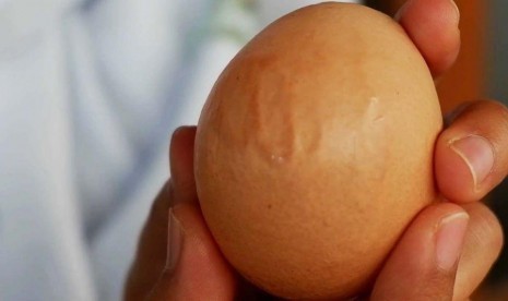 Telur Ayam Berlafaz Allah Ditemukan di Blitar