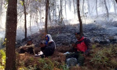 Gunung Lawu: Kebakaran Gunung Lawu Padam, Jalur Pendakian Masih Ditutup