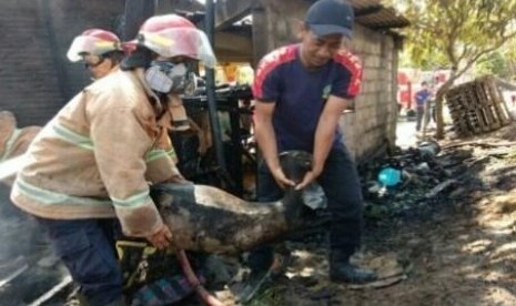  Petugas mengevakuasi kambing yang terpanggang. Dok. Polres Sukoharjo