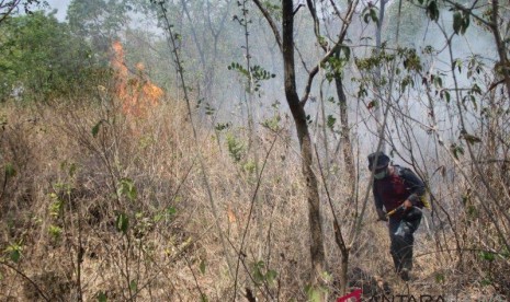  Api yang membakar hutan di Gunung Ciremai disebut telah padam