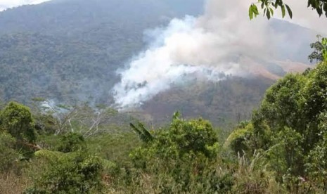  Kebakaran kembali melanda hutan di Gunung Ciremai