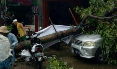 Mobil Taruna yang ringsek tertimpa pohon di Surabaya.