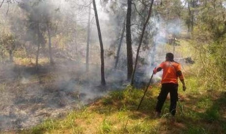  Tim relawan saat memadamkan sisa api yang membakar lereng Gunung Lawu. Foto/Wardoyo