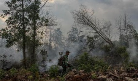  Kebakaran hutan