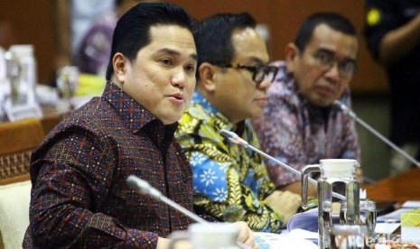 Erick Thohir (Foto: detik.com/Lamhot Aritonang)