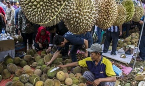 Durian Indonesia Kalah Saing dari Malaysia dan Thailand di China, Ini Sebabnya!. (FOTO: Nurul Ramadhan)