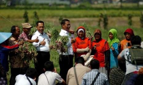 Menteri Pertanian, Amran Sulaiman (kelima kiri) didampingi Dirut Perum Bulog, Budi Waseso (keempat kiri) menggotong bawang merah usai panen raya di Desa Jagalempeni, Brebes, Jawa Tengah, Rabu (1/8).