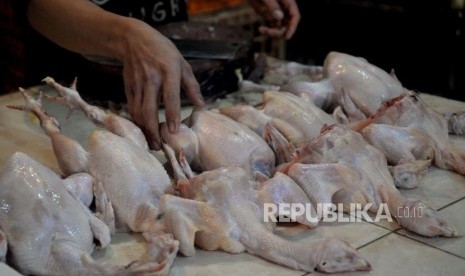 Pedagang ayam potong melayani pembeli di Pasar Pondok Labu, Jakarta Selasa (25/6).