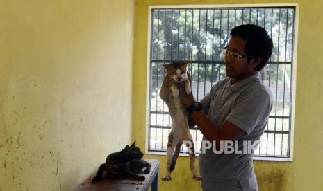 Warga memilih kucing untuk diadopsi di Puskeswan Ragunan, Jakarta, Selasa (8/1).