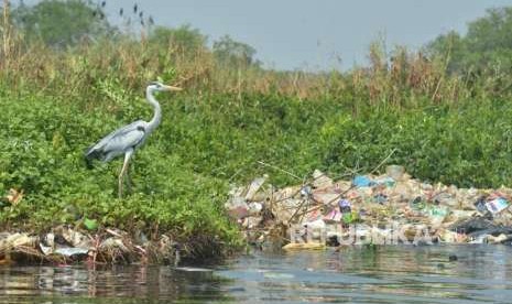 Ilustrasi. Riset Badan Riset dan Inovasi Nasional (BRIN) menunjukkan, mikroplastik yang terindikasi dari sampah alat pelindung diri (APD) seperti masker medis dari muara sungai menuju Teluk Jakarta mengalami peningkatan yang signifikan semasa pandemi Covid-19. 