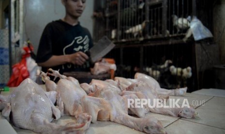 Pedagang ayam potong melayani pembeli di Pasar Pondok Labu, Jakarta Selasa (25/6).