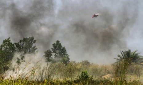 Astaghfirullah, Ada 816 Titik Panas Karhutla, Ini Sebarannya!. (FOTO: Rony Muharrman)