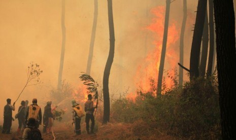 Kebakaran di Gunung Ciremai Hanguskan 343 Hektare Lebih