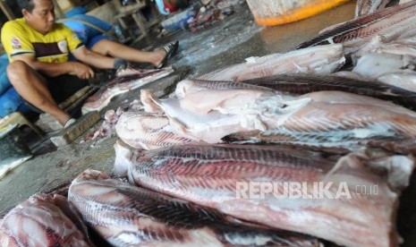 Pekerja saat mengolah hiu yang sudah ditangkap di Muara Angke, Jakarta Utara, Jumat (4/5).