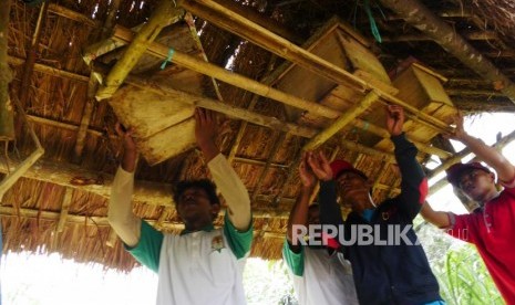 HUTAN KEMASYARAKATAN Petani peserta program Kelompok Usaha Perhutanan Sosial (KUPS) Kelompok Tani Hutan-‘Ingin Maju’ meindahkan sarang lebah madu yang dibudidayakan di Lahan Gunung Langkaras, Kabupaten Tanah Laut, Kalsel, Tabu (22/11).