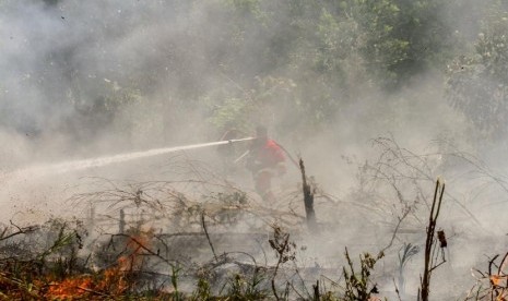 Petugas Badan Penanggulangan Bencana Daerah (BPBD) Pekanbaru dibantu Pemadam Kebakaran Kota Pekanbaru berjibaku memadamkan bara api yang membakar lahan gambut ditengah pekatnya asap kebakaran  lahan di Pekanbaru, Riau, Selasa (6/8/2019).