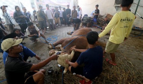 Masjid Raya Bandung Siapkan 2.000 Besek untuk Bungkus Daging Kurban