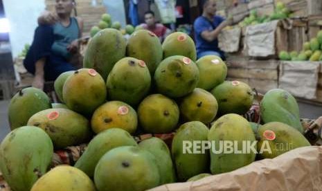 Penjual Mangga Banting Harga, Hanya Rp 8.000 per Kg. Pedagang memilah buah mangga. Ilustrasi