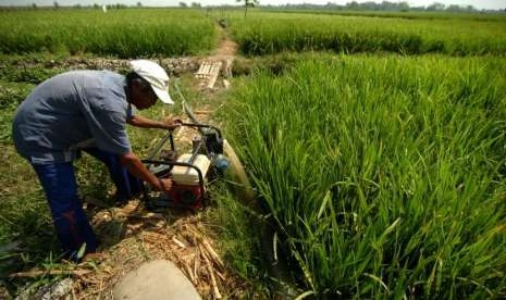 Seorang petani menyiapkan mesin diesel untuk pengairan sawahnya (ilustrasi).